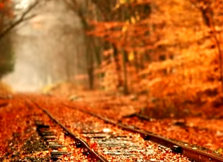 31 Quotes About Autumn